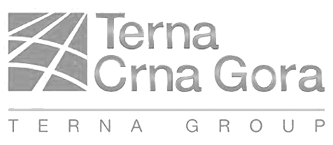 Terna CG