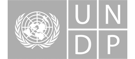 UNDP